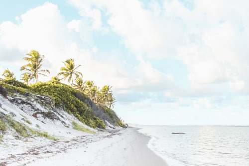sea seashore near seat under white sk beach